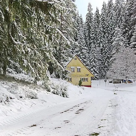 Prázdninový dům Rappenloch Modern Retreat Eisenbach (Breisgau-Hochschwarzwald)