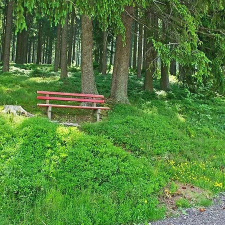 Rappenloch Modern Retreat * Eisenbach (Breisgau-Hochschwarzwald)