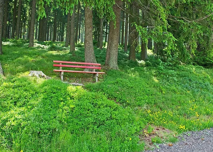 Rappenloch Modern Retreat * Eisenbach (Breisgau-Hochschwarzwald)